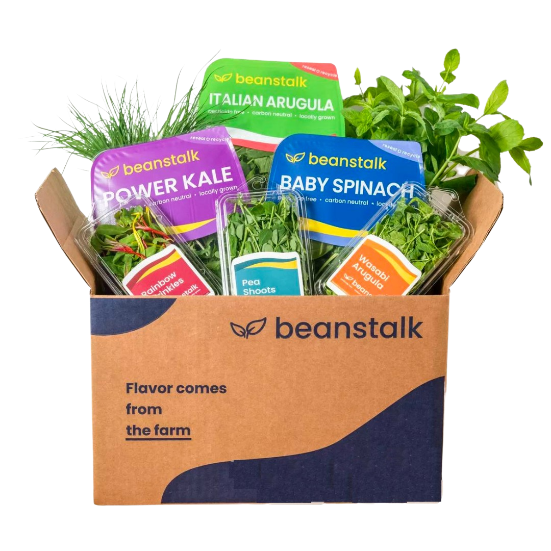 Beanstalk Sampler Box (One-Time Delivery)