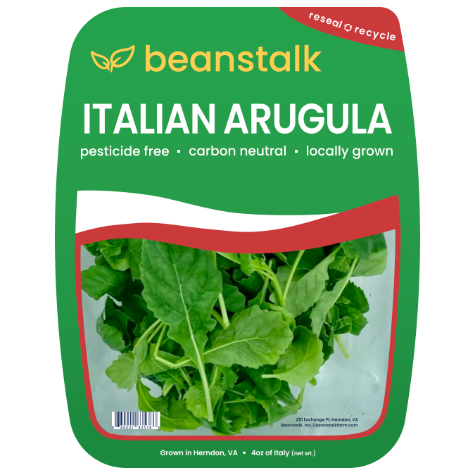 Italian Arugula