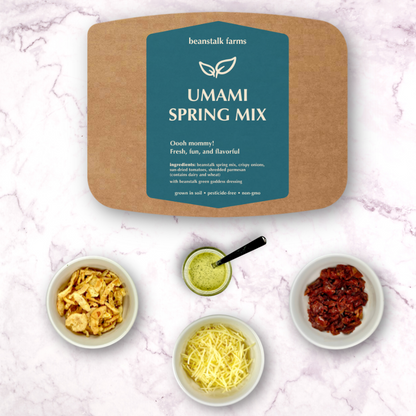 Umami Spring Mix Salad